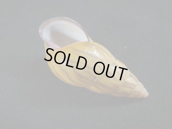 画像3: アタプエマレイマイマイ (3)