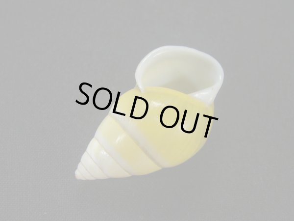 画像3: バオマレイマイマイ　美品 (3)