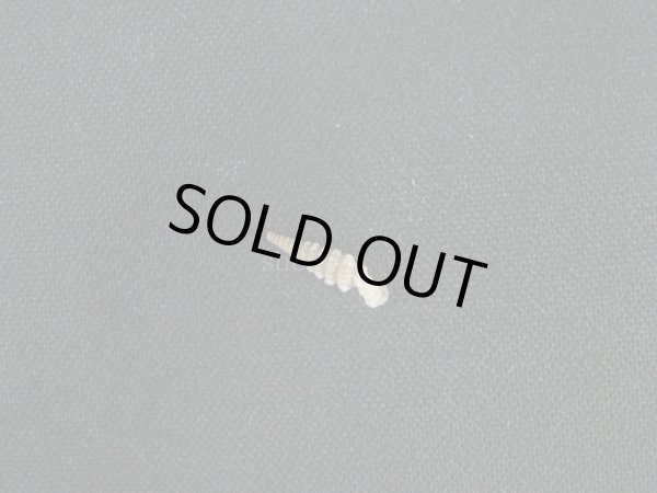 画像2: Tetrentodon filiola (2)