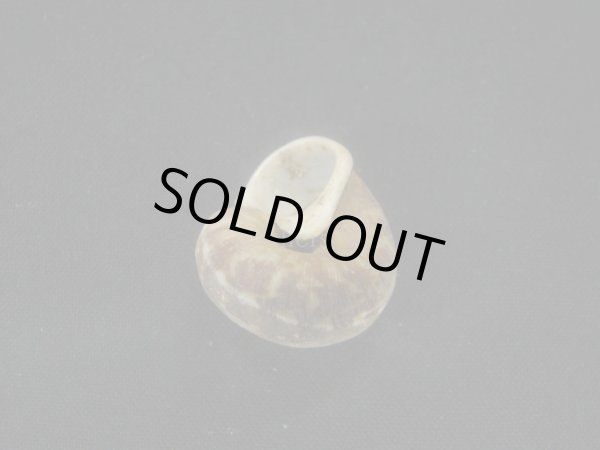 画像3: ミダレシマヒメヤマタニシ　蓋付き (3)