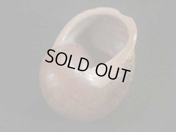 画像2: オマツリカスリマイマイ？ (2)