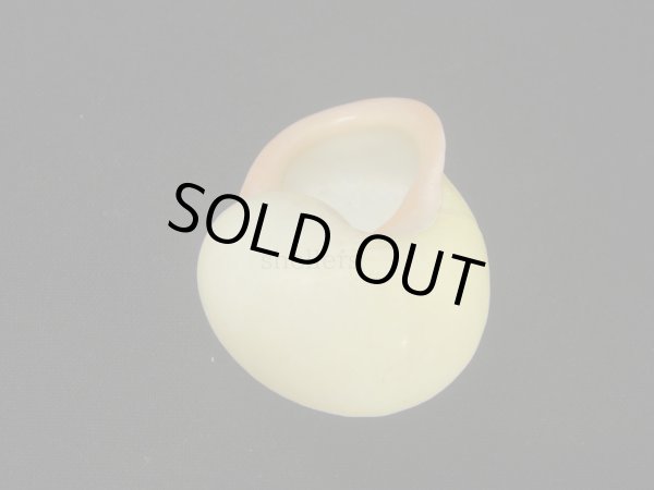 画像2: キイロオマツリマイマイ (2)