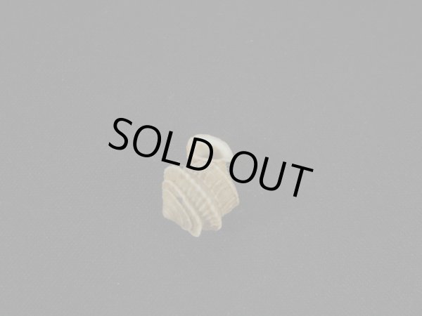 画像3: Cerion disforme nodali (3)