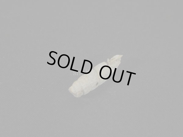 画像3: アンデスギセル(Andinia taczanowskii) シッピングダメージ (3)