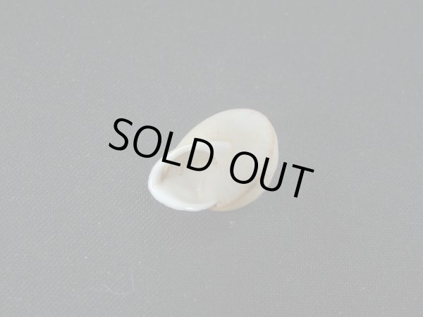 画像3: ヒトスジパプア (3)