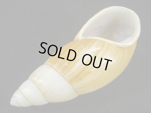 画像3: オオフデマイマイ (3)