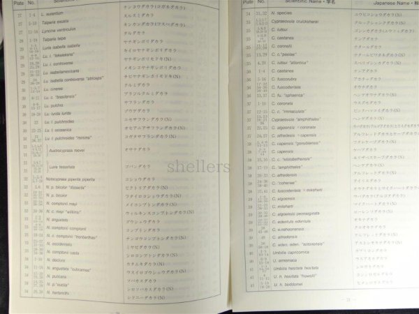 画像2: A GUIDE TO WORLDWIDE COWRIES和名表（オリジナル） (2)