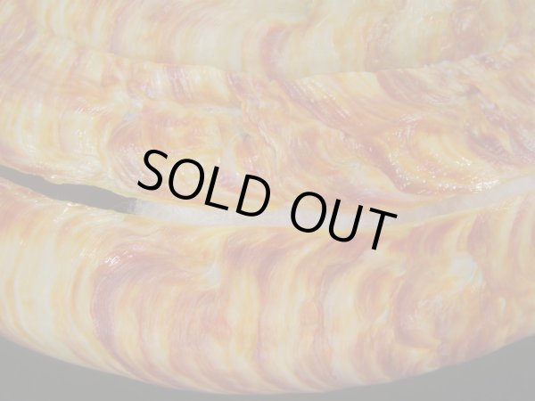 画像7: リュウグウオキナエビス(Entemnotrochus rumphii) 136ｍｍ　濃色　美品 (7)