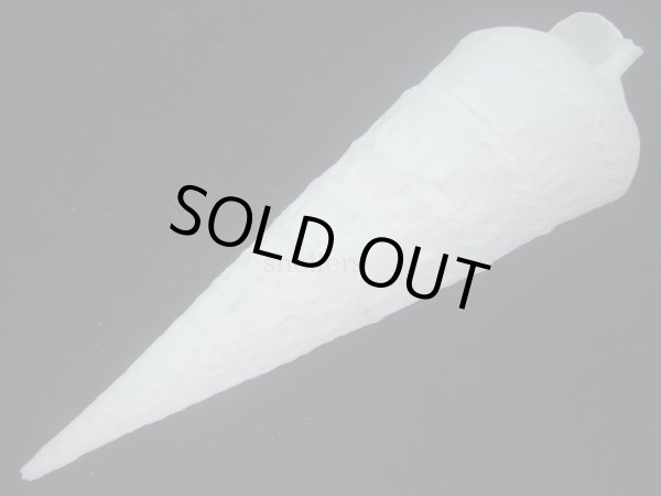 画像3: エンマノツノガイ(Campanile symbolicum) 大　美品 (3)