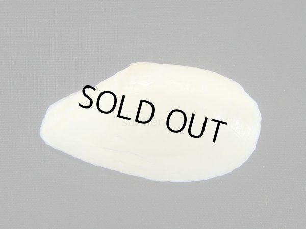 画像2: ダイミョウガイ (2)