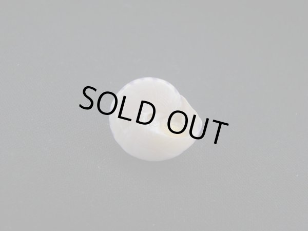 画像3: コイキエビス 美品 (3)