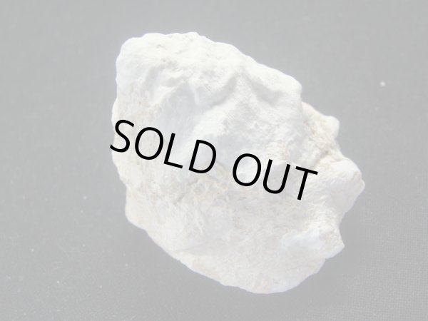 画像2: コバルトウラウズ　特大　特老成　濃色 (2)