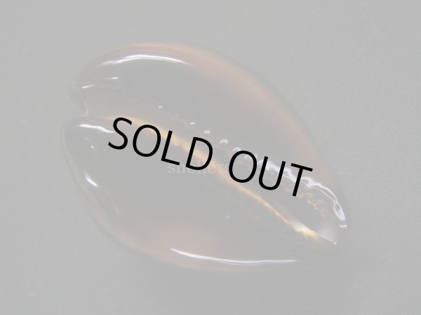 画像3: ベッコウダカラ　濃色 (3)