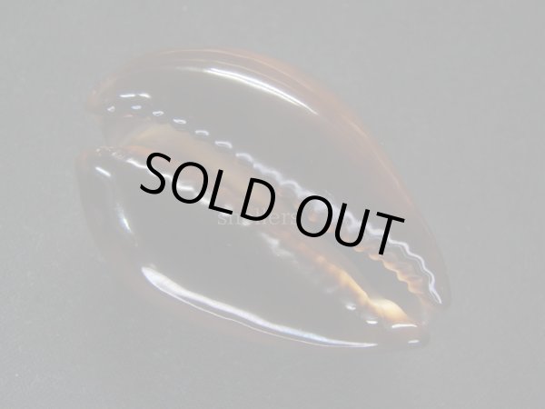 画像3: ベッコウダカラ (3)