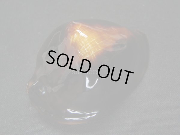 画像3: ロッセルダカラ　サティアタ (3)