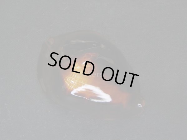 画像5: ロッセルダカラ　サティアタ (5)