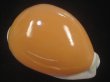 画像1: ナンヨウダカラ(Lyncina aurantium) 大　老成　美品　丸 (1)