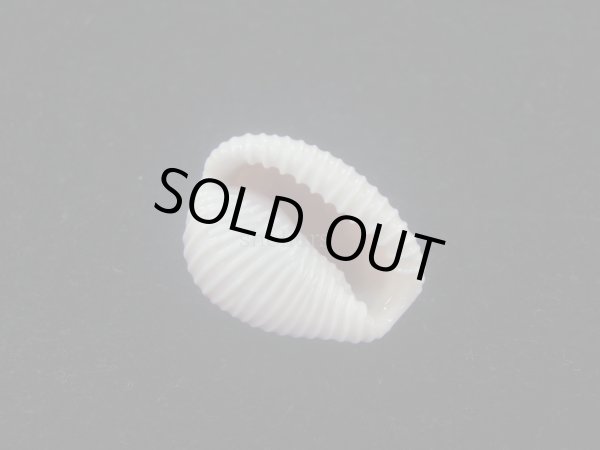 画像3: バライロスジボタン(Triviella aperta) 大　特濃色　老成　美品 (3)