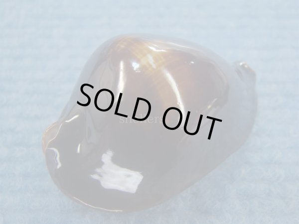 画像3: ロッセルダカラ(Zoila rosselli) (3)