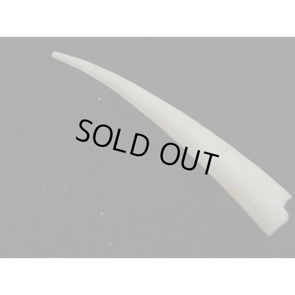 画像2: シンカイツノガイ SP (2)