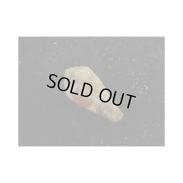 画像2: バラフイモ (2)