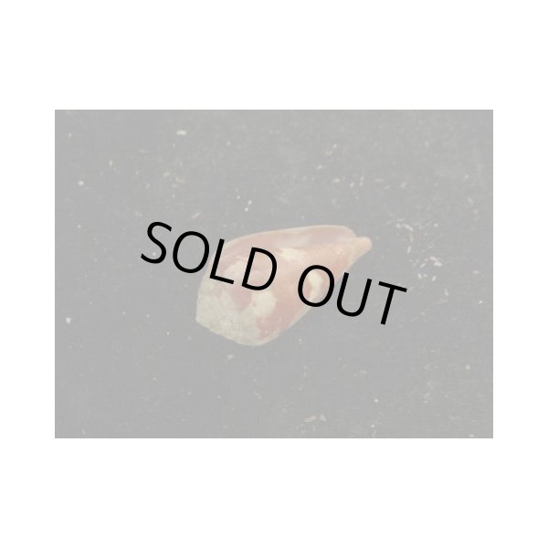 画像3: バラフイモ (3)