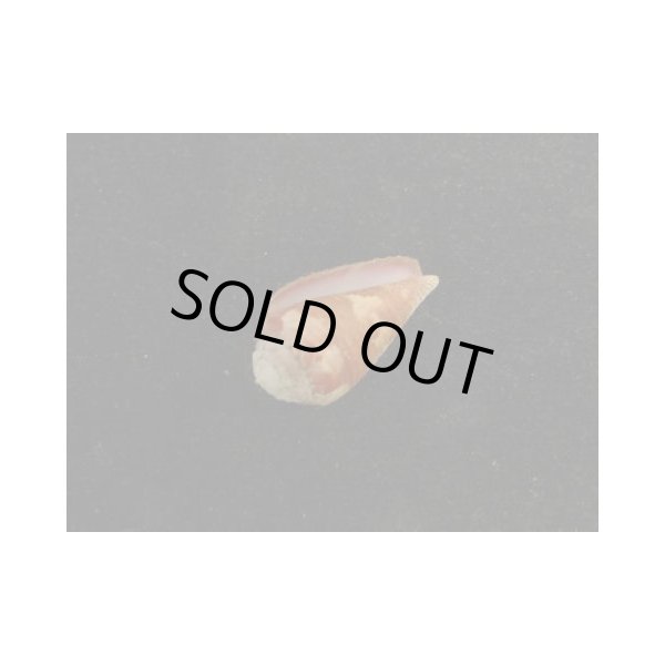 画像3: バラフイモ　リラニュレート (3)