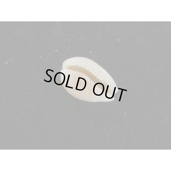 画像3: トゥリアラカノコダカラ (3)