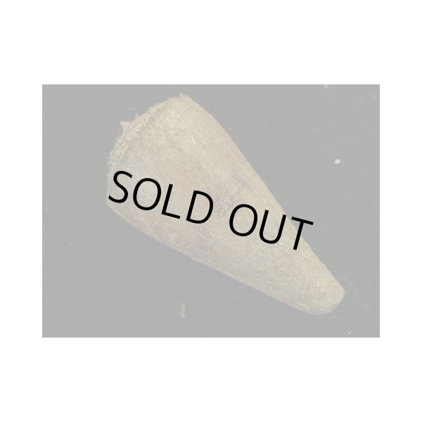 画像2: イナズマアコメ (2)