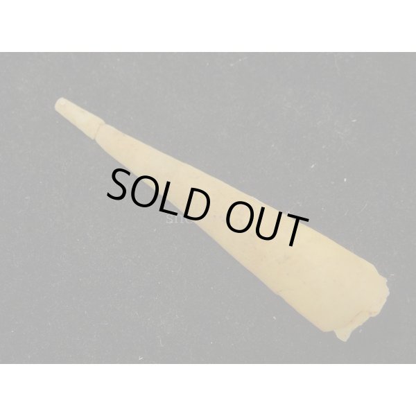 画像2: ヒラツノ 大 (2)