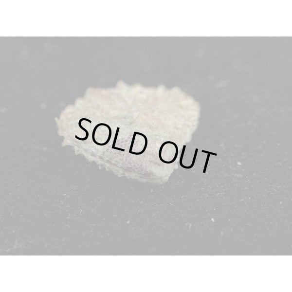 画像3: モグラノテ (3)