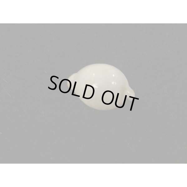 画像2: シロアルゴ 死殻 (2)