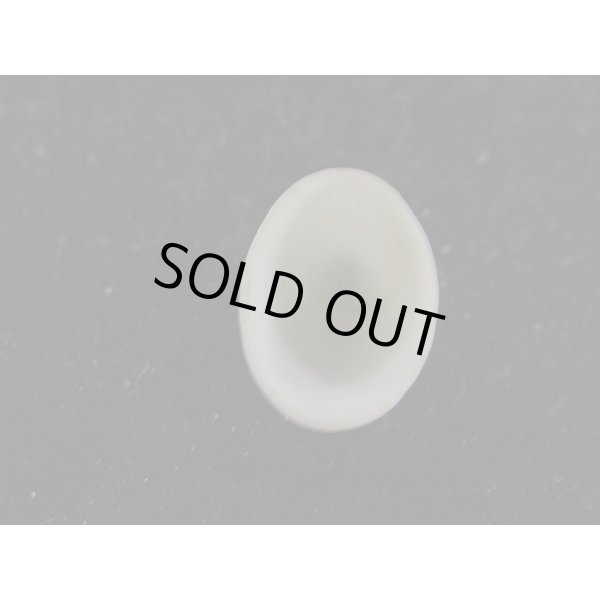 画像3: ワタゾコシロアミガサ (3)