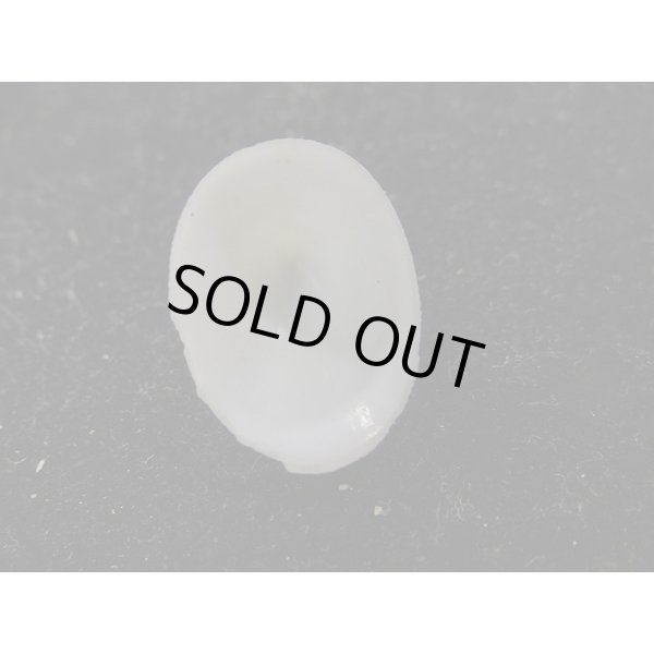 画像3: ワダツミシロガサ? (3)